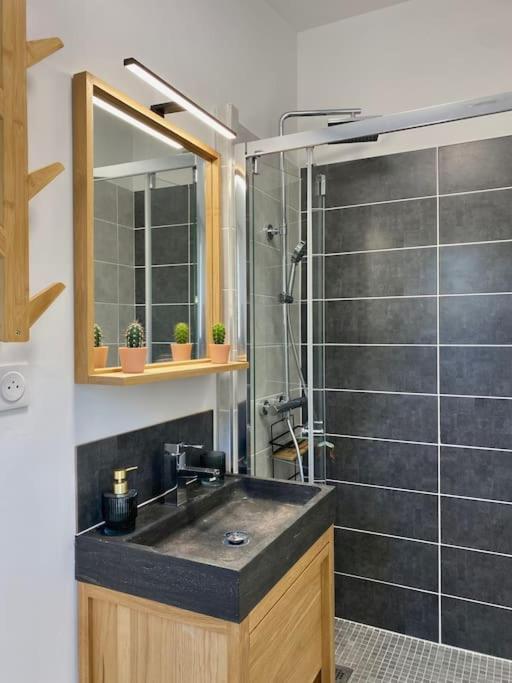 Villa Maya - 3 Groussan - Avignon - CLIM - TERRASSE - Studio-Apartment - 6