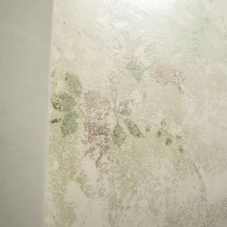 Cucchiari Suite 7C - Appartamento con 1 Camera da Letto - 7