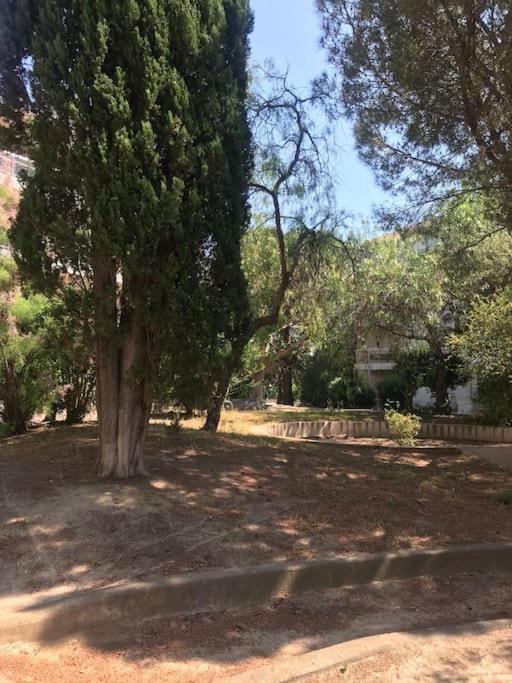 Grand Studio rez de jardin avec parking à 5 min à pieds de la mer et commerces - Appartement 1 Chambre - 24