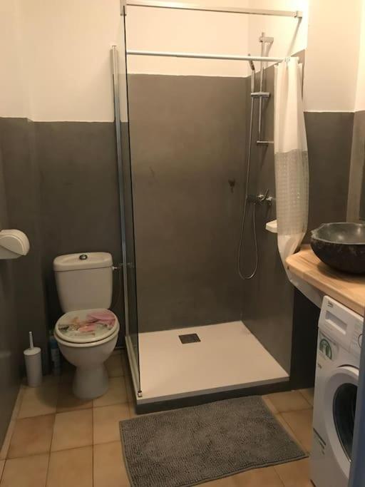 Grand Studio rez de jardin avec parking à 5 min à pieds de la mer et commerces - Appartement 1 Chambre - 20
