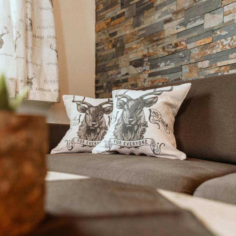 Schranbachhof - Apartment mit 2 Schlafzimmern und Dusche - 2