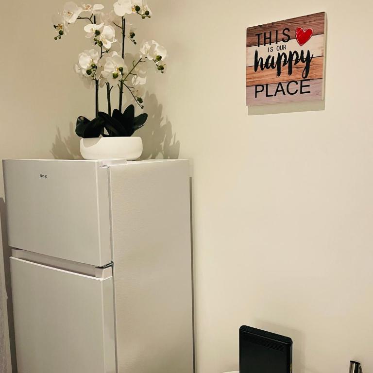 APRT Cannes Beach Festival ARNESE - Apartamento de 1 dormitorio - 8