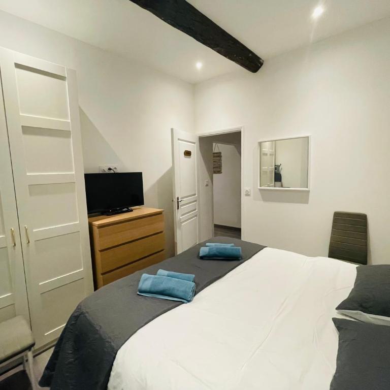 APRT Cannes Beach Festival ARNESE - Apartamento de 1 dormitorio - 12