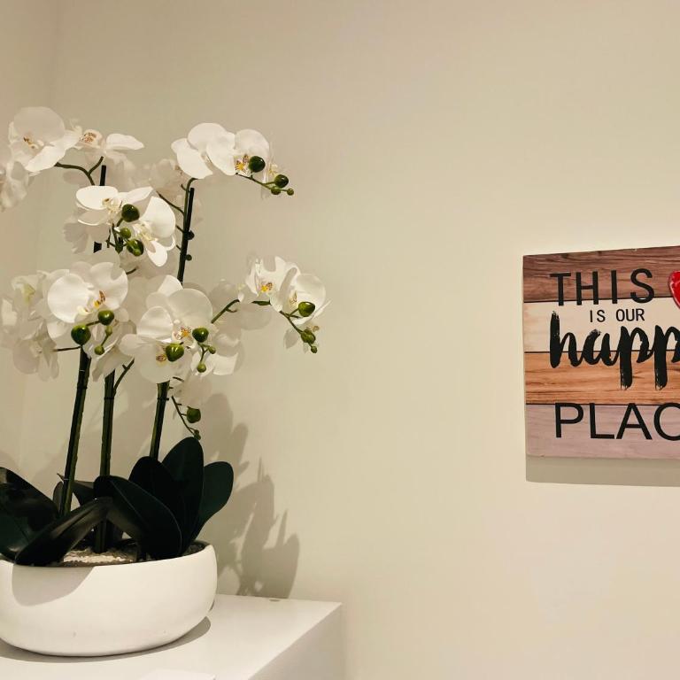 APRT Cannes Beach Festival ARNESE - Apartamento de 1 dormitorio - 17