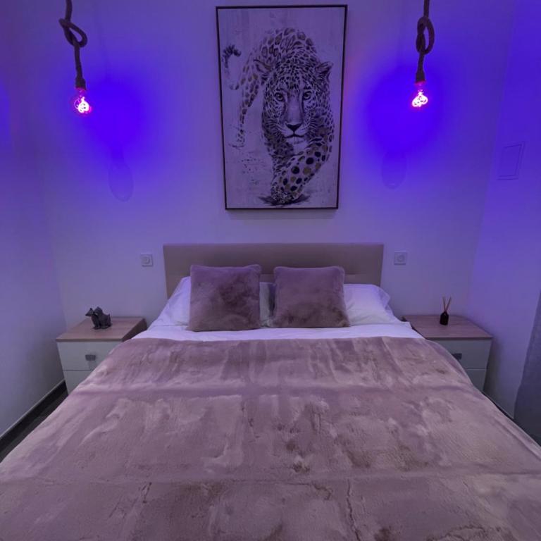 APRT Cannes Beach Festival ARNESE - Apartamento de 1 dormitorio - 26