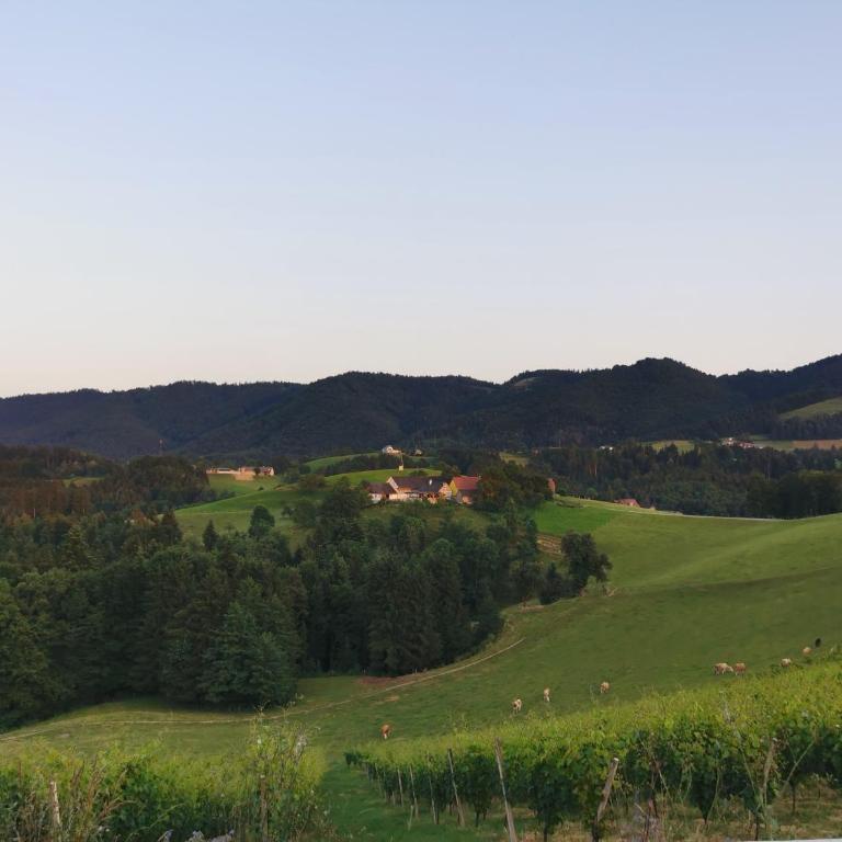 Ferienhaus am Weinberg Krast - Haus mit 2 Schlafzimmern - 36