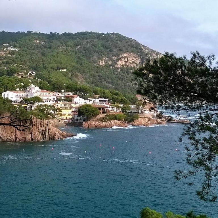 Apartamento vista al mar 313 - 2H - Apartamento con vistas al mar - 29