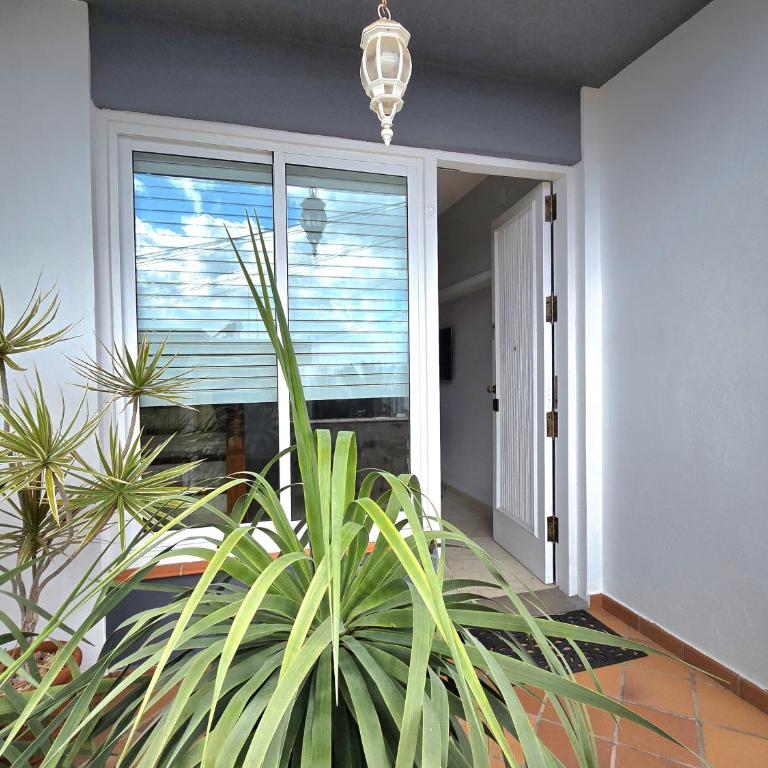 Home2Book Drago Stay, Sea & Santa Cruz Views - Apartamento de 1 dormitorio - 18