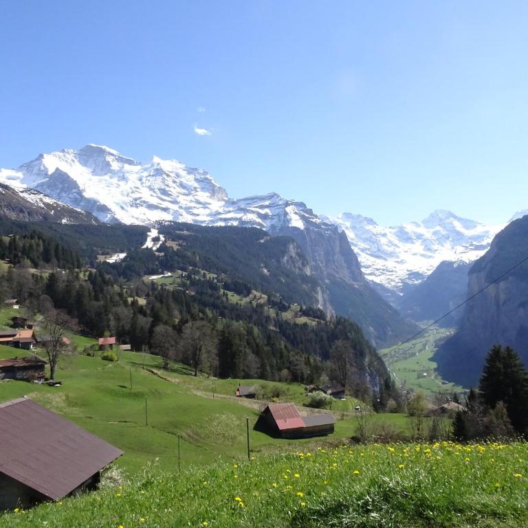 Chalet Alpina Gyger - Superior Zimmer mit Kingsize-Bett - 6