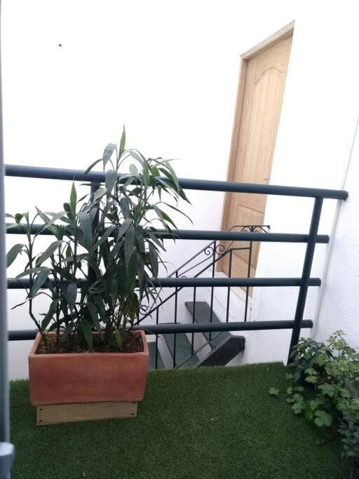 APARTAMENTO PRIVADO Y TRANQUILO EN MANILA. - Two-Bedroom Apartment - 6