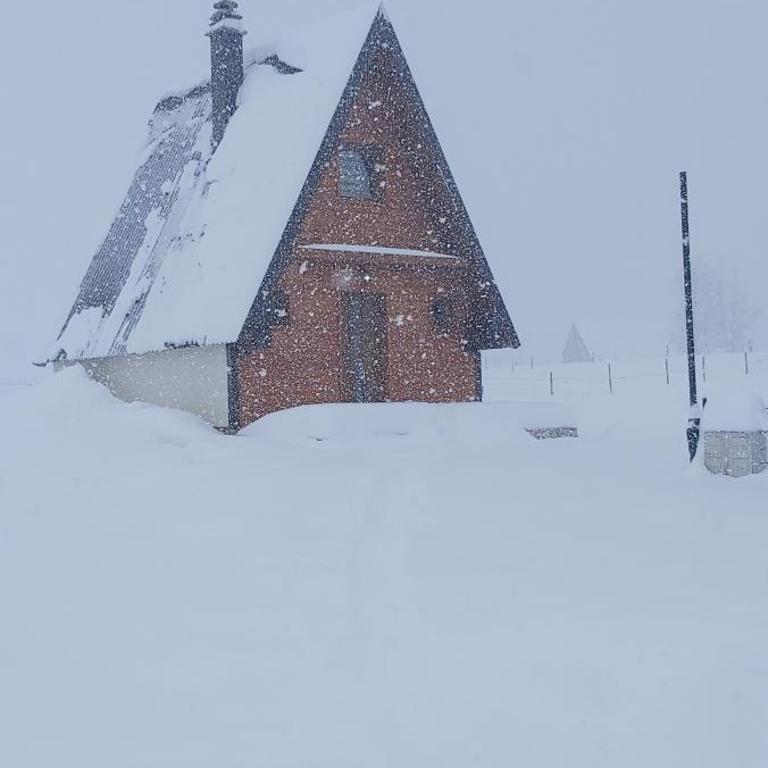 Guest House Zabljak - Vacation Home - 14