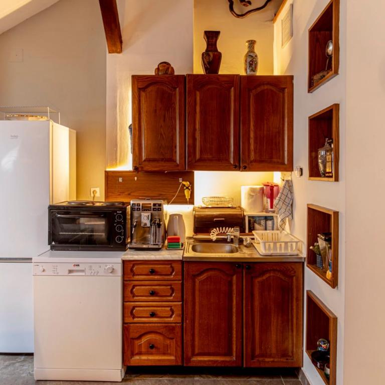 Oldest House Belgrade - Apartman sa 2 Spavaće Sobe - 24