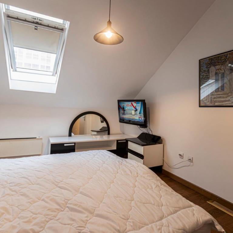 Oldest House Belgrade - Apartman sa 2 Spavaće Sobe - 38