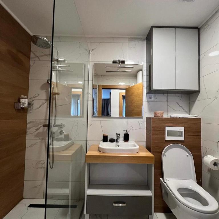 Zlatibor Centar Lux Apartman - Apartman sa 1 Spavaćom Sobom - 12