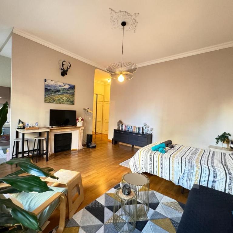 Appartemment RUE DE LA REPUBLIQUE, joli et moderne au coeur du centre - Appartement 1 Chambre - 5