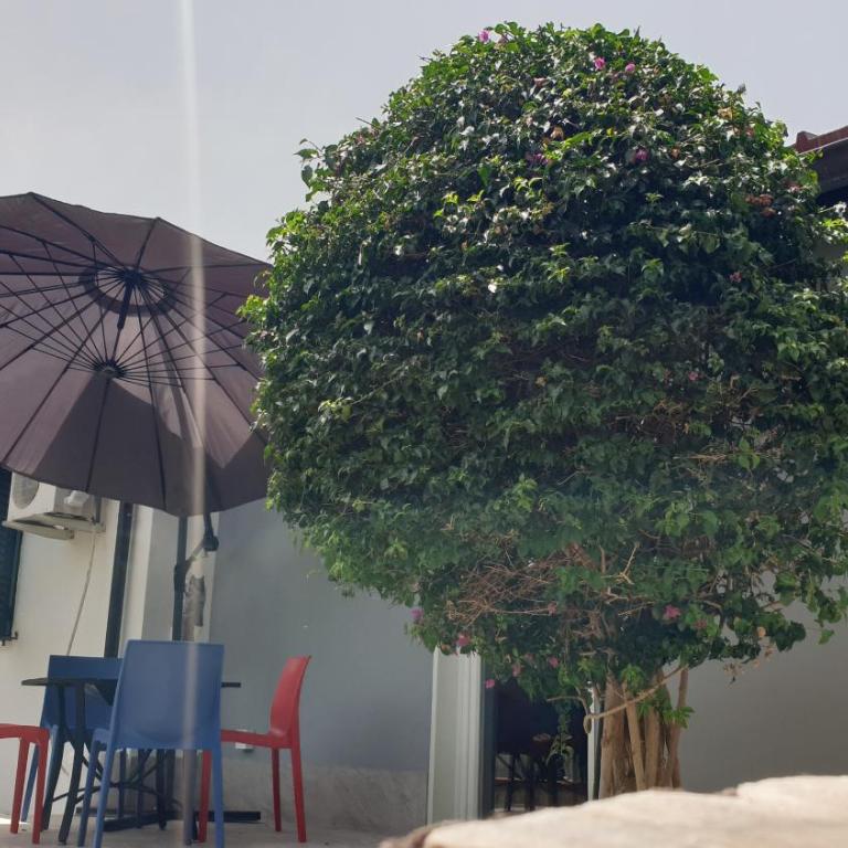 Duplex House - Vacation Home - 48