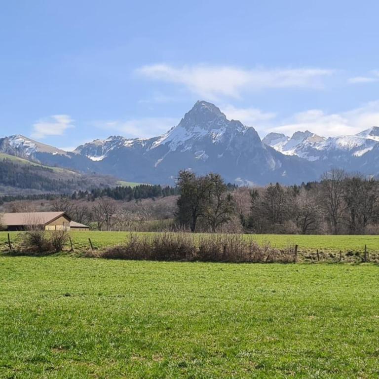 Le P'tit Chalet - Randonnée, ski et nature près d'Evian et du Léman - Maison 2 Chambres - 25