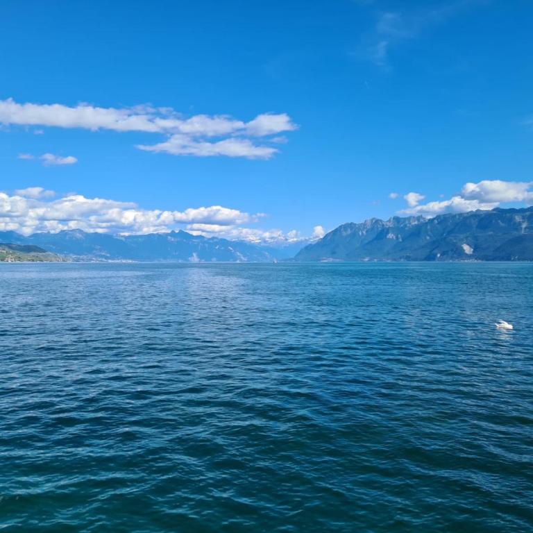 Le P'tit Chalet - Randonnée, ski et nature près d'Evian et du Léman - Maison 2 Chambres - 26