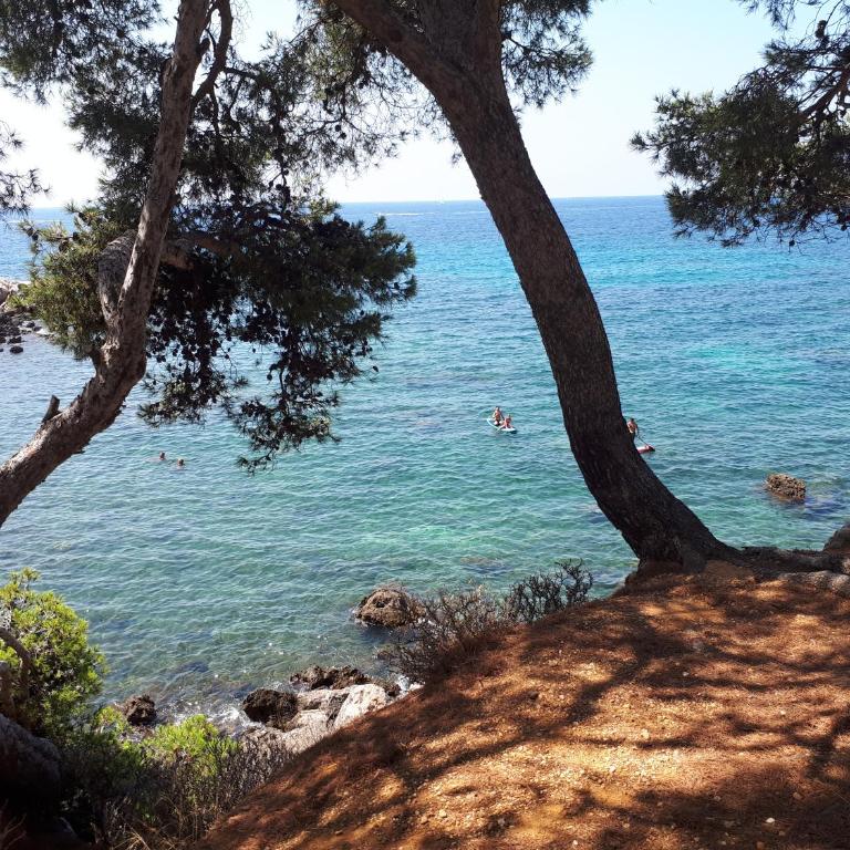 Bandol, T3, les pieds dans l'eau, presqu'île du Capelan - Appartement 2 Chambres - 1