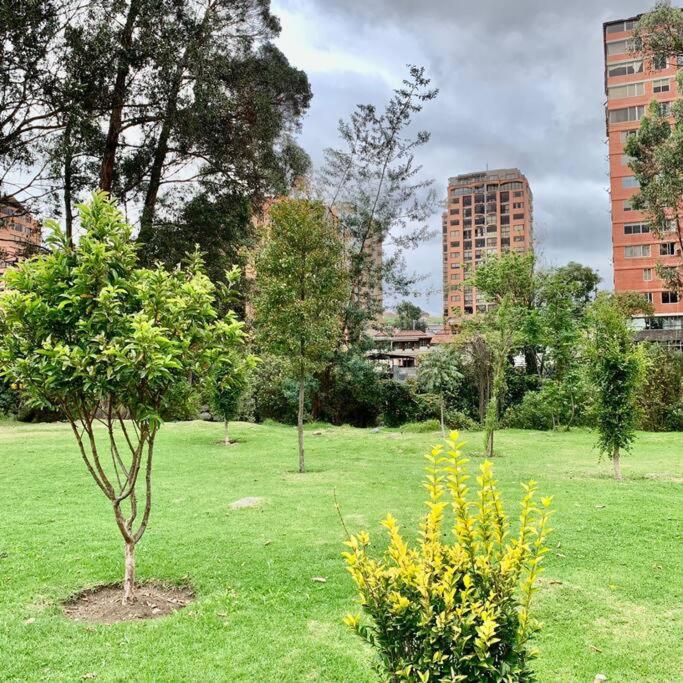 Urban Andes Retreat - Apartamento de 1 dormitorio - 12