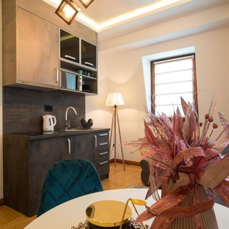 Promenada Grujić - One-Bedroom Apartment - 5
