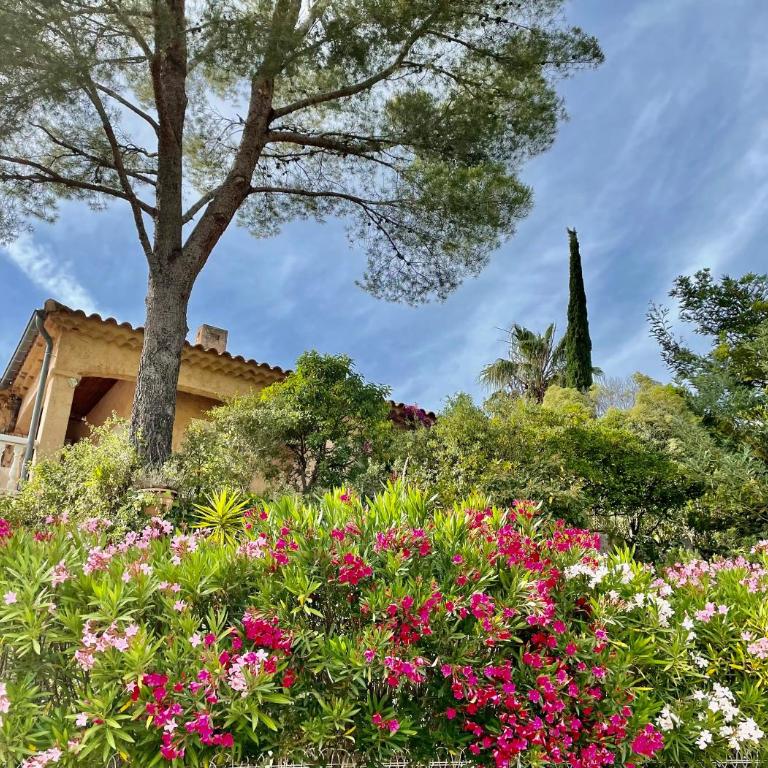 Belle villa provençale avec piscine privée - Villa avec Piscine Privée - 40