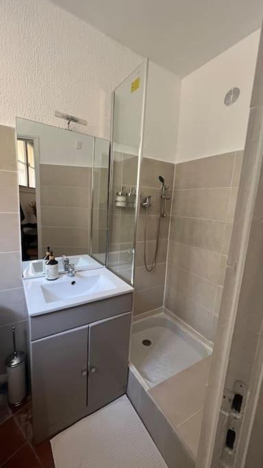 Petit Palais: Palais des Papes - Apartamento de 1 dormitorio - 13