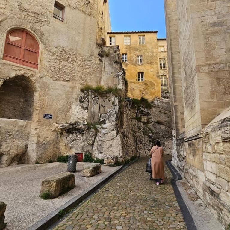 Petit Palais: Palais des Papes - Apartamento de 1 dormitorio - 17