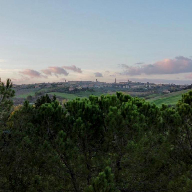 Agriturismo La Terrazza sul Mangia - Appartamento con 2 Camere da Letto - 3