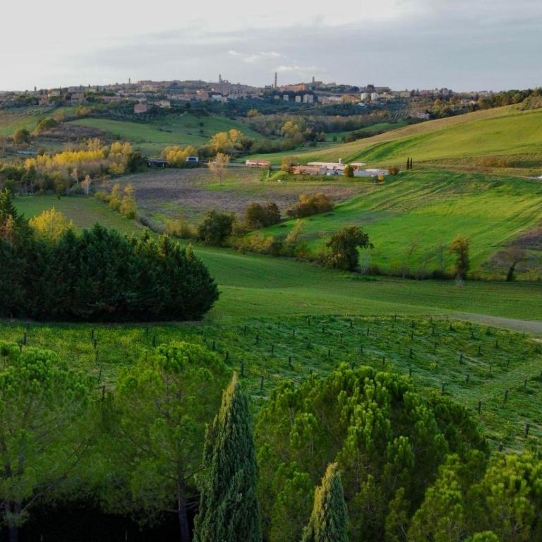 Agriturismo La Terrazza sul Mangia - Appartamento con 2 Camere da Letto - 13