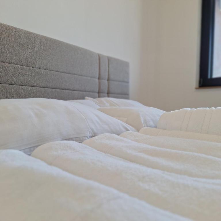RIVIJERA CITY - Deluks Porodični Apartman Tipa "Suite" - 8