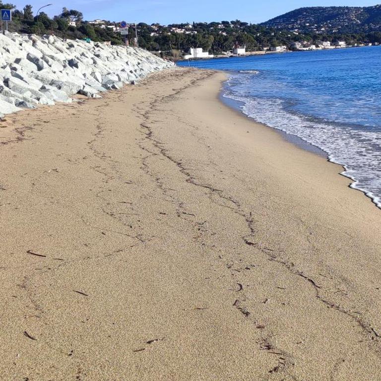 Lovely beach - Appartement 2 Chambres - 41