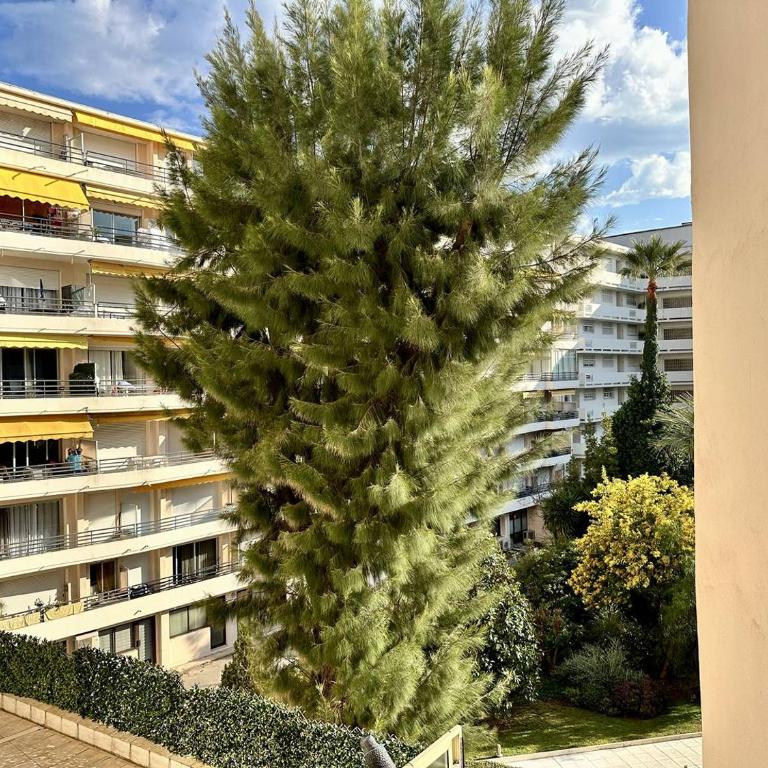 Cannes La Croisette - PALAIS MIRAMAR - Studio au calme coté jardin - Studio - 4