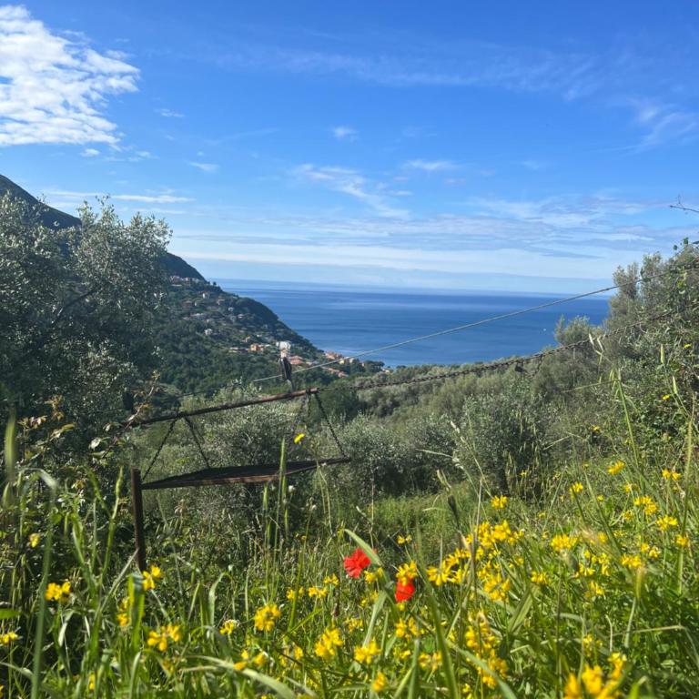 Olivetta House Holiday - Appartamento con 1 Camera da Letto - 4