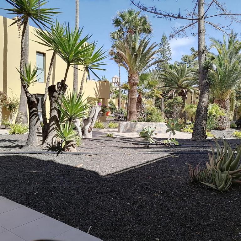 Casa Magdalena - Apartment with Garden View - 3