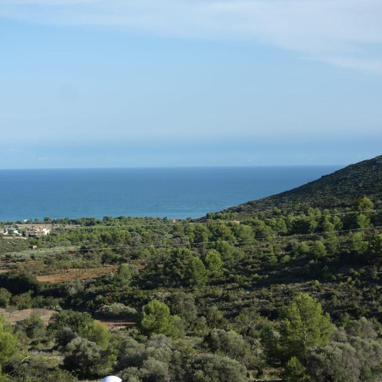 Mira d'Oro. Peniscola. - Casa de 2 dormitorios - 3