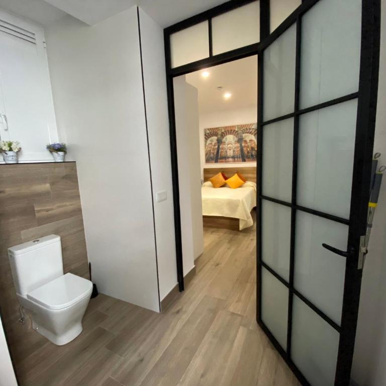 SUITES DEL MAR y SUITE DE CÓRDOBA - Apartmentos en pleno centro - One-Bedroom Apartment - 23