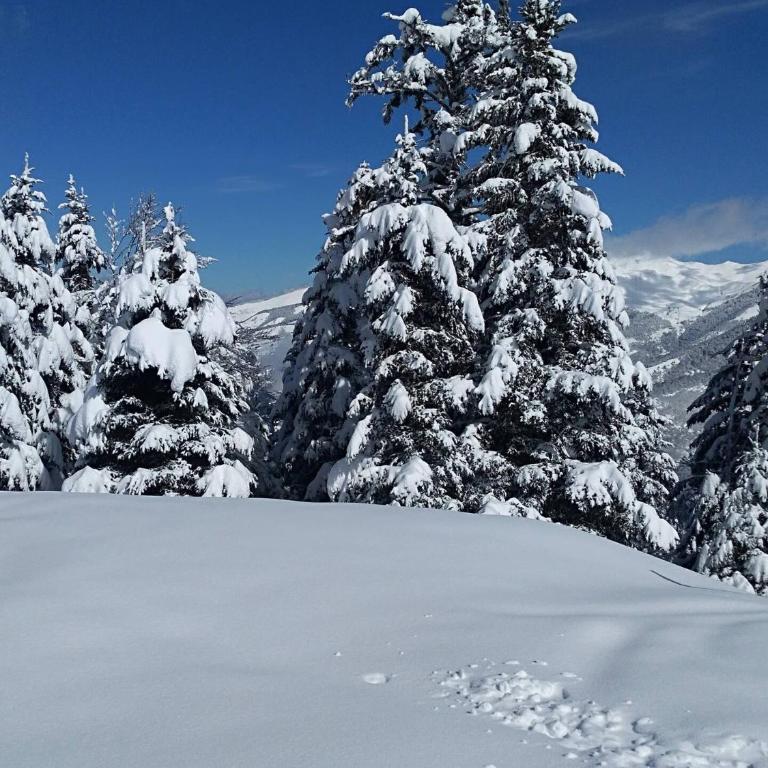 Luchon plein centre, Ski, Soleil et Eaux thermales 100m Remontée 400m Thermes - Apartamento - 7