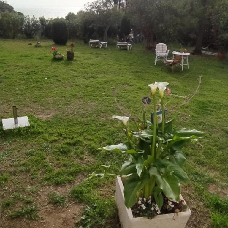 Canyelles Apartament - Apartamento de 2 dormitorios - 36