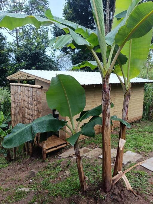Mágica cabaña San Carlos Antioquia Z - Casa con 1 dormitorio - 28
