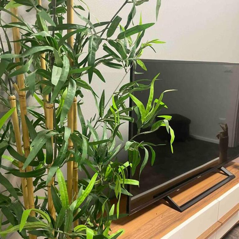 Cucchiari Suite 2 Tipo - Appartamento con 1 Camera da Letto - 21