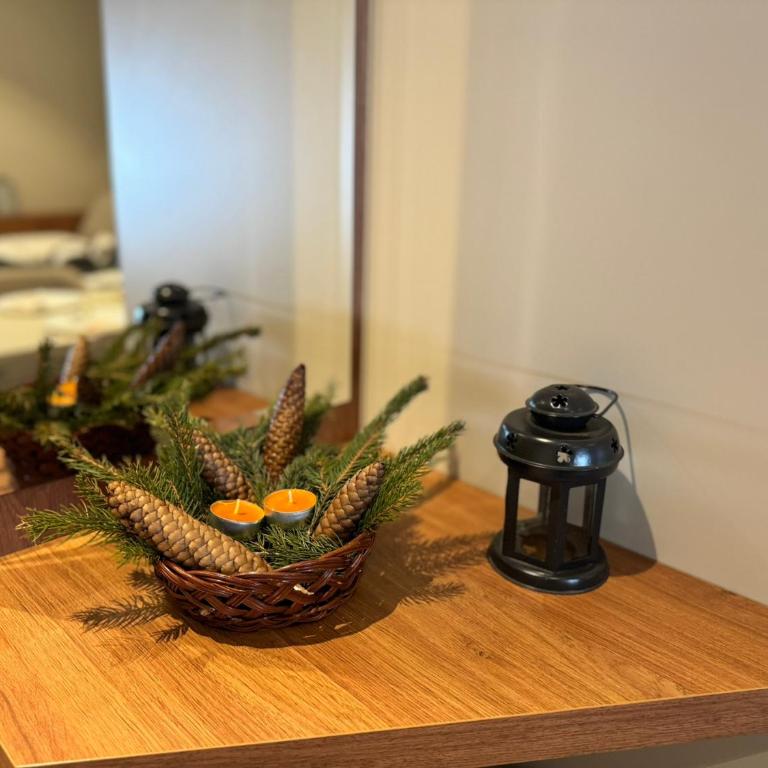 Apartmani Kilijan Kopaonik - Apartman sa 1 Spavaćom Sobom - 2