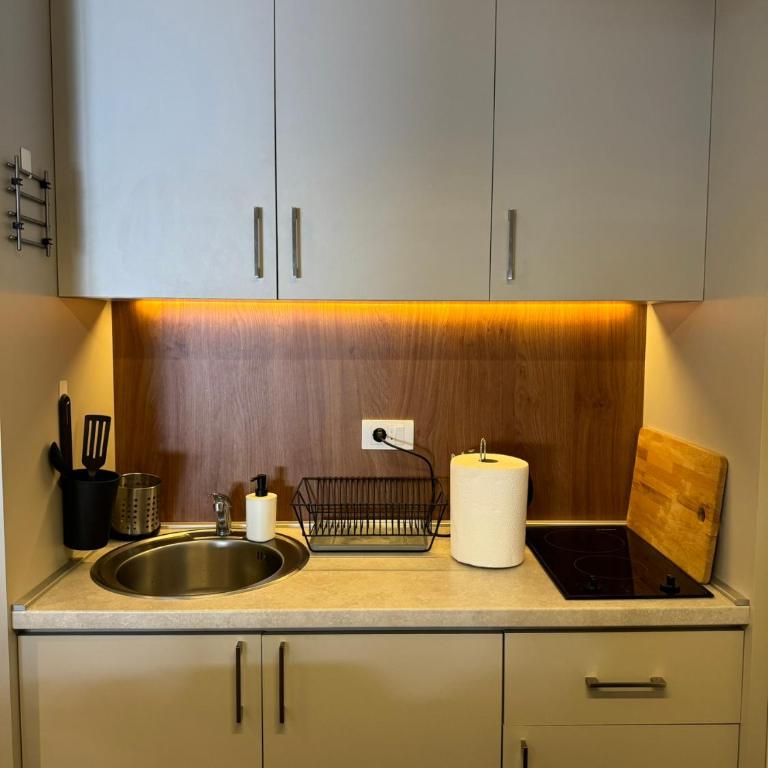 Apartmani Kilijan Kopaonik - Apartman sa 1 Spavaćom Sobom - 17