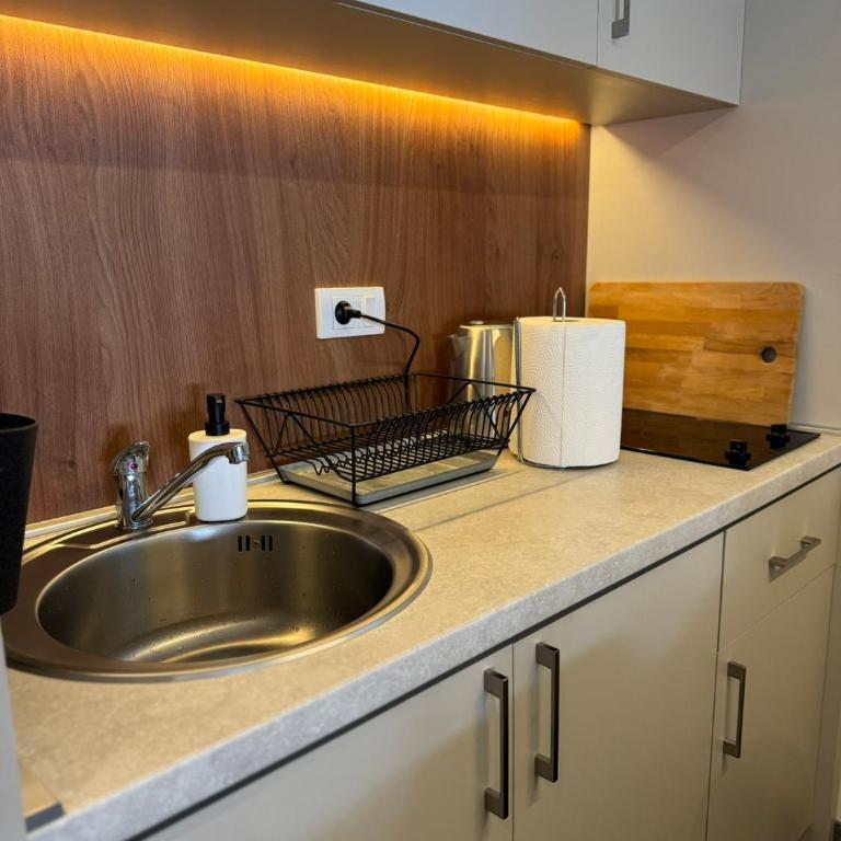 Apartmani Kilijan Kopaonik - Apartman sa 1 Spavaćom Sobom - 24
