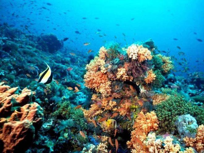 On The Beach - Seaside Sunrise Haven 1 - Sea View - One-Bedroom Apartment - 31