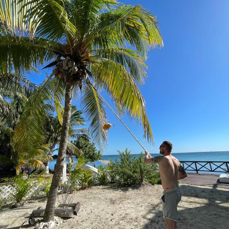 On The Beach - Seaside Sunrise Haven 1 - Sea View - One-Bedroom Apartment - 50