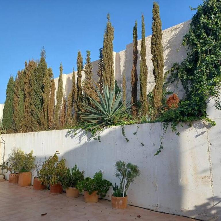 Casa Los Olivos, villa with a pool - Three-Bedroom Villa - 25