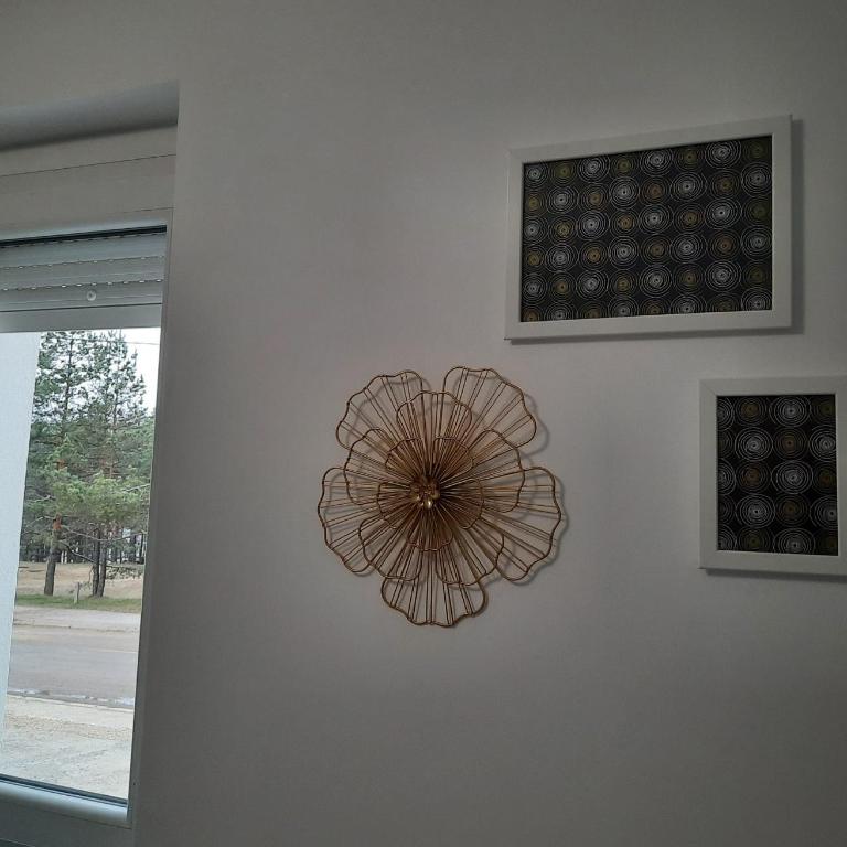 Studio Tara Divčibare - Apartman sa 1 Spavaćom Sobom - 4