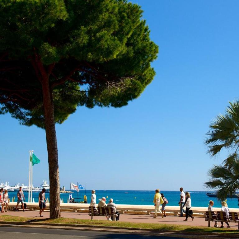 2 pièces à 5min de Cannes - Appartement 1 Chambre - 23