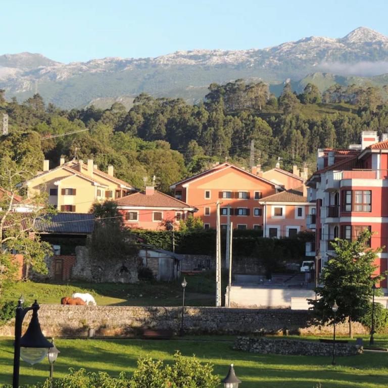 Vistas al Cuera - Two-Bedroom Apartment - 22